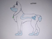 135336906_156291652611143_7918