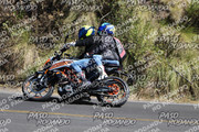 IMG-1382