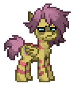 02 pony-town-Angel_Fluttershy (ATOC)-stand-blinking-padded-4x (1)