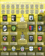 Album-Calciatori-2010-2011-Panini-115