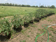 1B35CAEB-D636-437A-847E-F08317032D1E