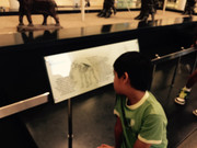 e5bfe47b39dd0c62c9f7262ede768e0c