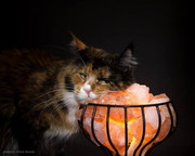 23031614_874752522682709_4825605273893695801_n