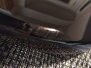 IMG_20181001_2108382