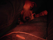 21.3.party-ready Betsy III