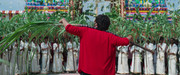 The-Rajasaab0239