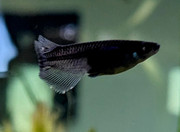 PXL_20250511_165305645~2