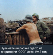 https://i.postimg.cc/xJj9KXfT/photo-2026-07-04-16-18-38.jpg