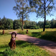 IMG_20140713_181815_resize