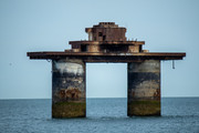 IMG-0285