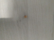 IMG-20211030-144419