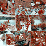 F6B0C766-AE11-4D50-8009-CCA0CD52EEEF