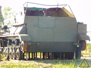 DSCN8972