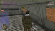 rp-vidigrovka2