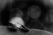 IMG-1381