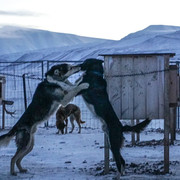 IMG_20181031_070344_502