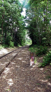 S1470173