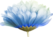 april-showers-SD-90