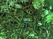 WoWScrnShot_122323_173152