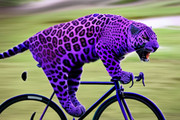 purple_jaguar_04