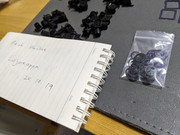 PXL_20241019_154326218