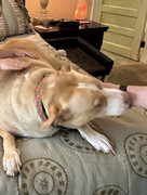 Screenshot-2025-07-22-at-3-26-42-PM