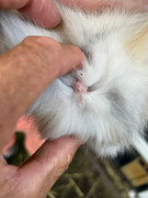 a63992e4-e821-4cd8-9357-d79b26a9d8b1