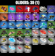 gliders-comp