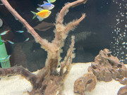 C9941EA5-D34A-4DEF-B642-2334A320A2FC