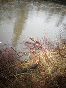 IMG-20200501-191100