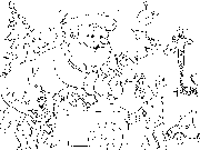 died-moroz-ghotovit-podarki