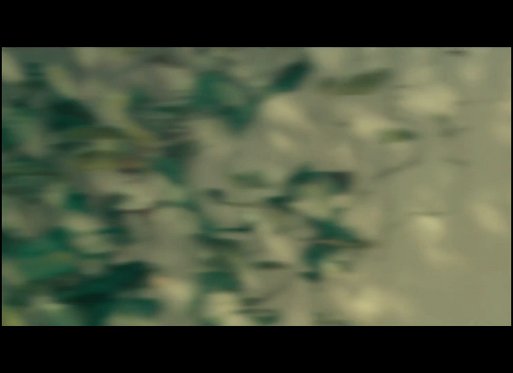 qn2artbz8g95.png