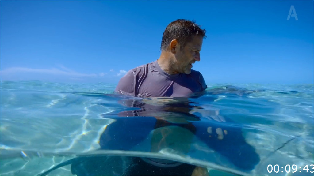 [Image: kvlibzr3f312.png]