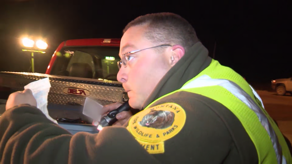 [Image: vh8ah702fpdk.png]