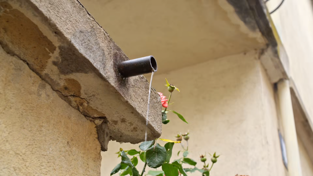 [Image: 6s9sjv65bquu.png]