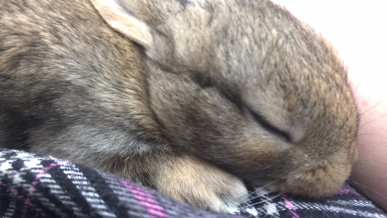 E06E31EE-1BDE-4382-9904-8ACF729D0B0C