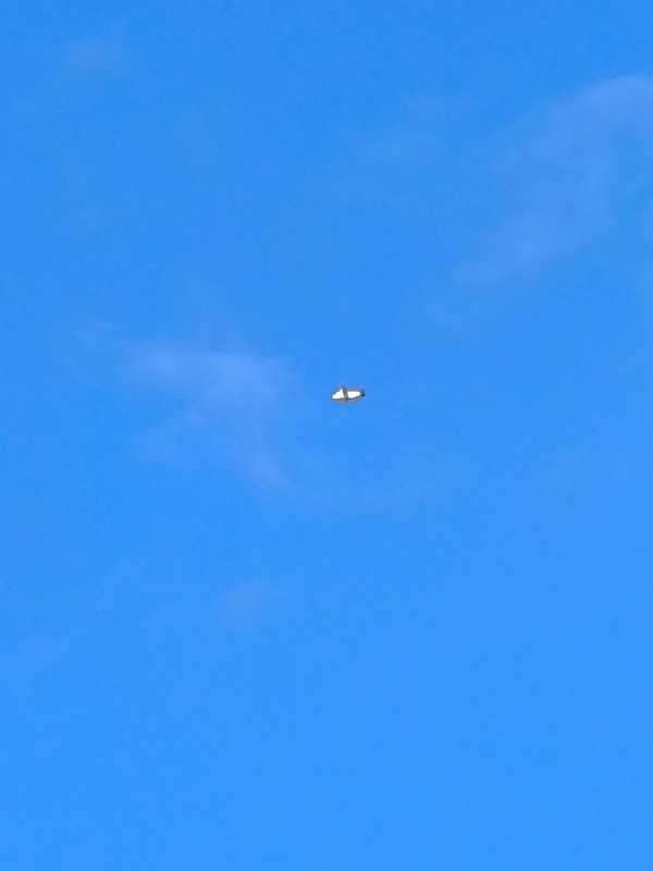 IMG 20260923 133042