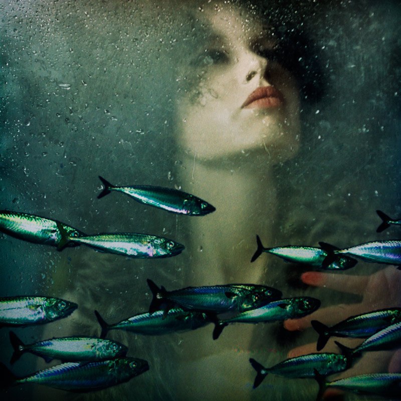 0-C3-B1-F22-FE1-C-455-B-AE9-E-1345-A9172184