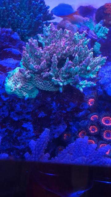 667BD8D2-331F-4730-BC8F-5C7292988075