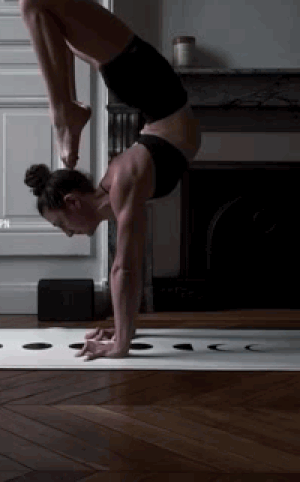 IMG-7516.gif