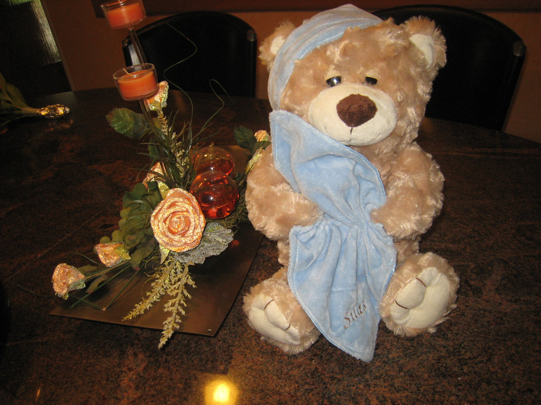 bilder bis märz2014 457