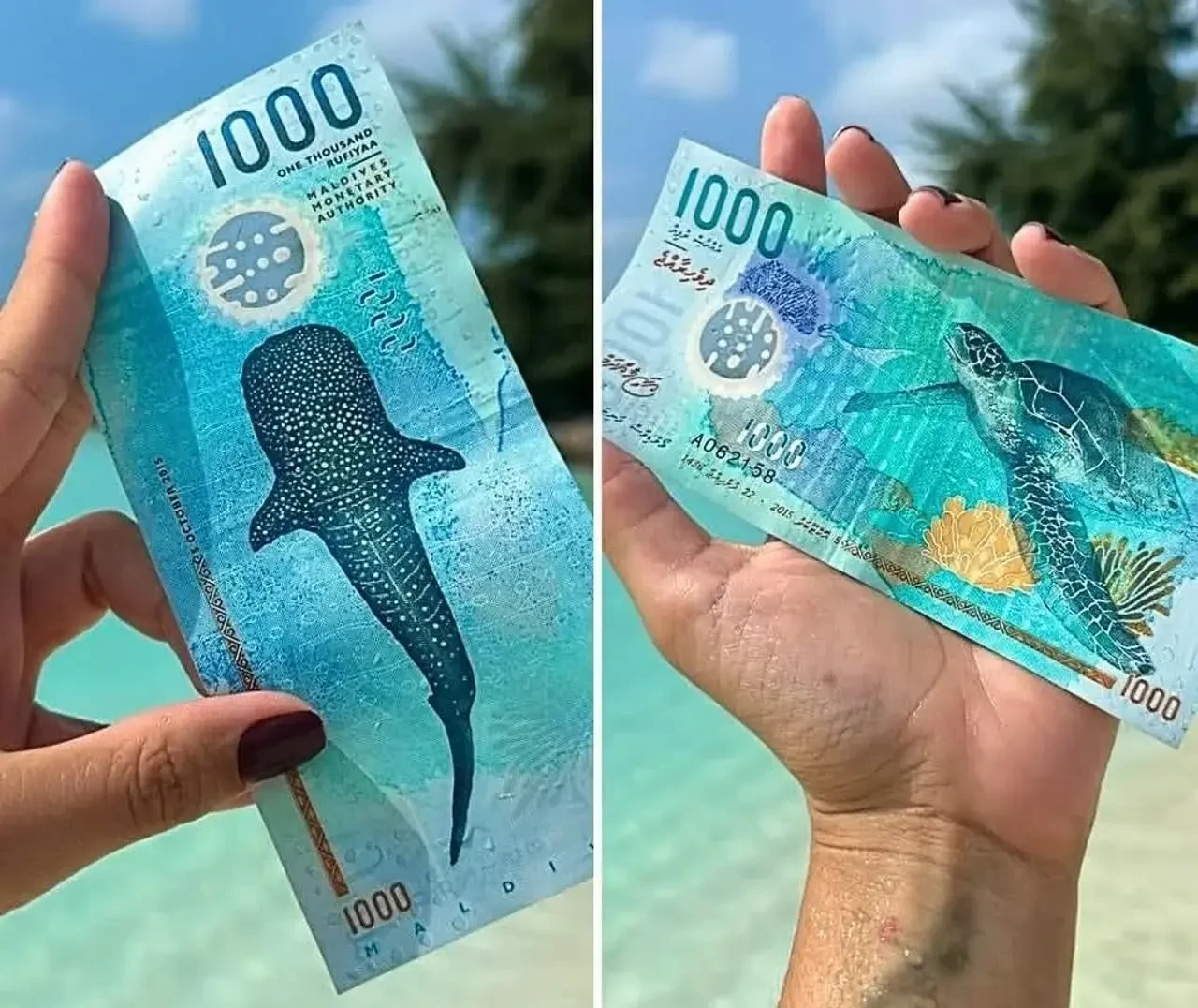 maldivian