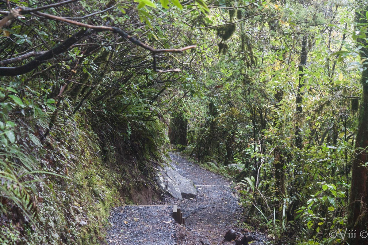 Día 4. Tongariro Alpine Crossing - Nueva Zelanda/Islas Cook - Viaje de novios a la Tierra Media (7)