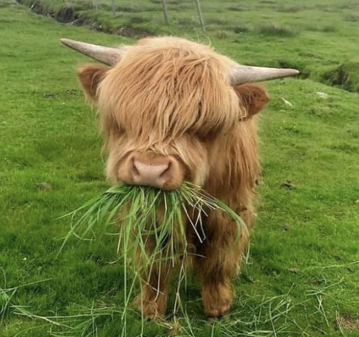 A7-C29569-CCAB-45-AC-947-D-A4-E49-E534-E