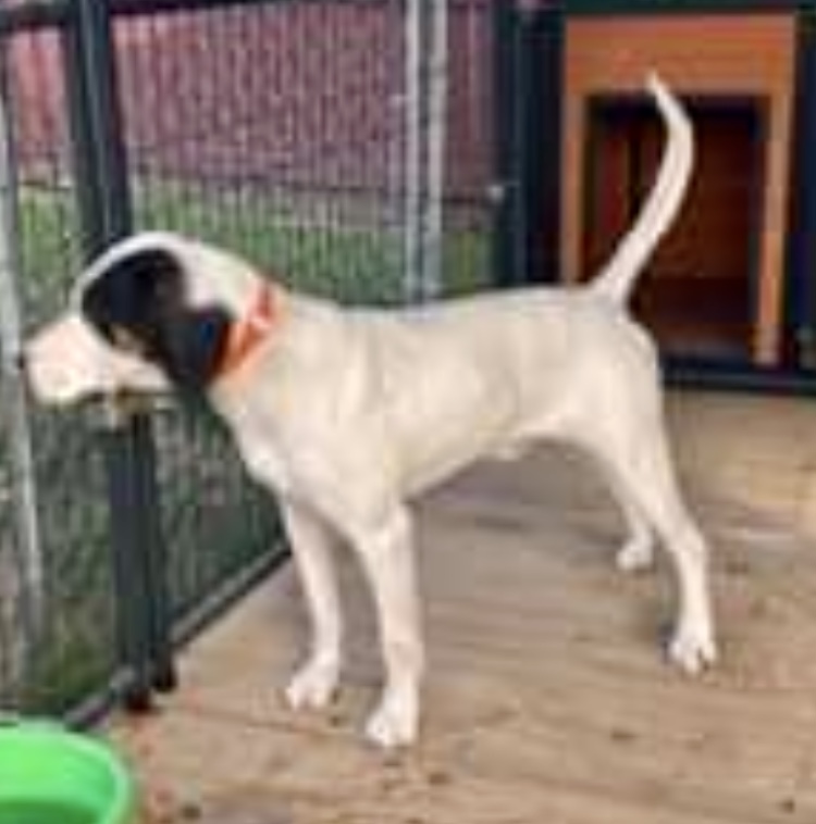 FB728074-A540-4B99-815E-93BB15914805