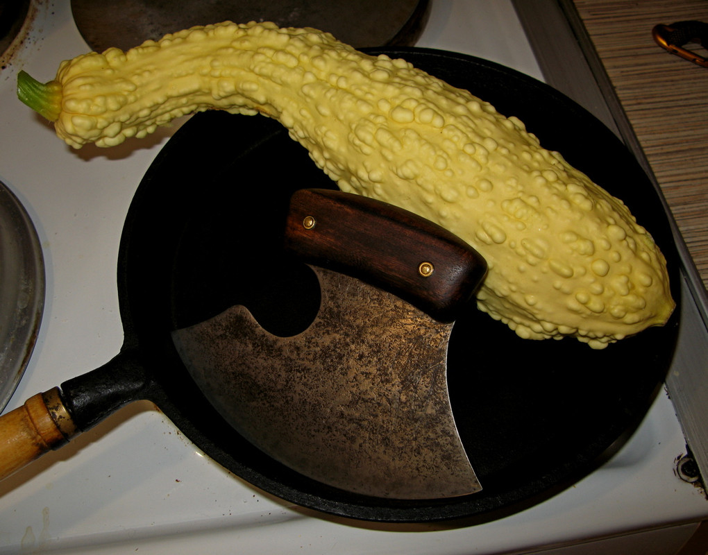 IMG-1037.jpg