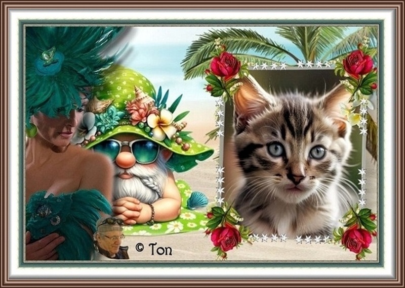 MOOIE-KATER-2