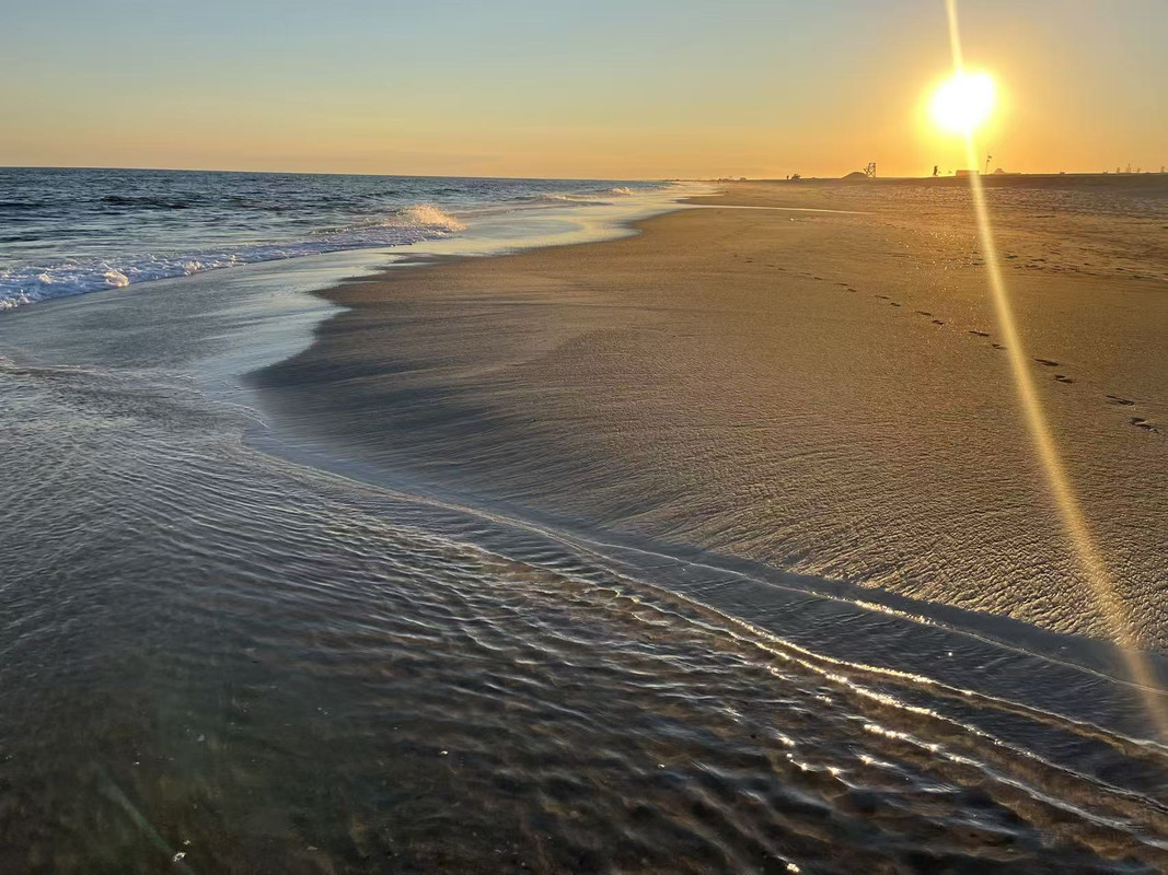 5f59866bbaf972ee795476424404a906