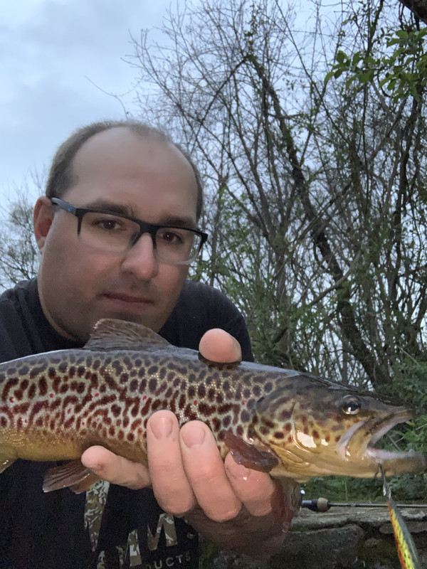 B768172C-CEC8-4937-B955-D684D51D8028