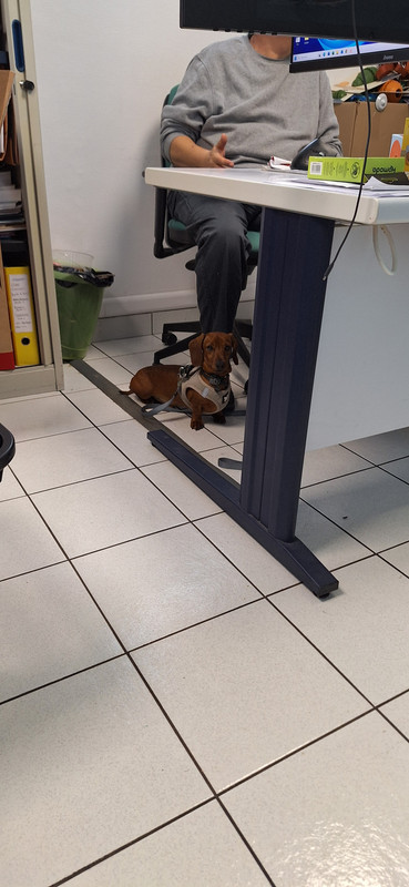 [Image: 20251018-154821.jpg]